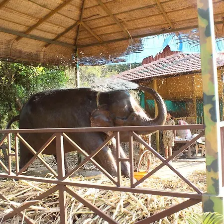 Shangri La Jungle Village